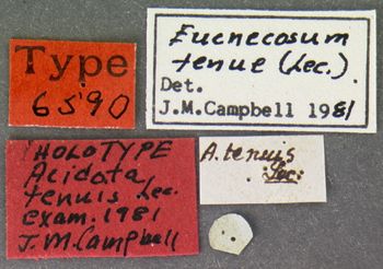 Media type: image;   Entomology 6590 Aspect: labels